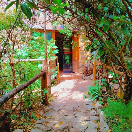 Hospedaje K'uchuwasi Backpacker Ollantaytambo Exterior foto
